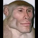 monke monke