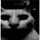 catshock Discord sticker - Lunar Loft