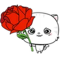 Bear_foryou