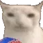 Cat_chew