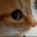 sideeye