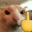 fu