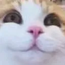 CatSmile