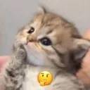 catthink