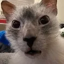 guh