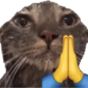 :catpray: