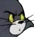 wtf