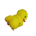 ducky45