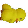 ducky90