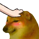 Dog_Pat