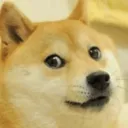 Dog_meme