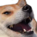 Dog_laugh