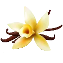 flower_vanilla