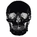 Skull_black