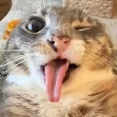 heh