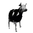 polishCow polishCow