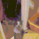 hypedcat