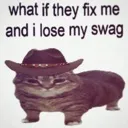 swag