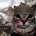 war