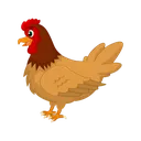 UBchicken