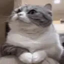 waiting