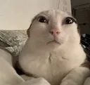 Reginald