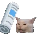 catbonk