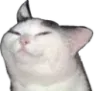 sus_cat