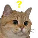 questioncat_esc