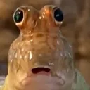 uhhhh