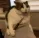 murderouscat