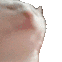 A_cat_blast