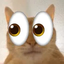 stared