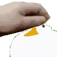 PetTheDuck PetTheDuck