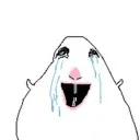 Hamster