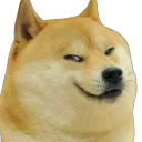 dog_sus