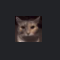 :stare: