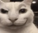 EVILKITTIE