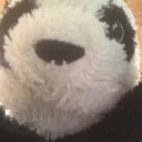 pandaboi