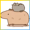 Catpyhara