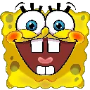 spongeidiot