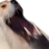 kekDistorted