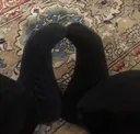 taysfeet