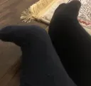 potaytoes