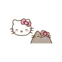 b_hknpusheen