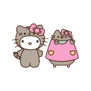 b_hknpusheen