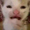 wah wah