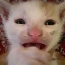 catesad
