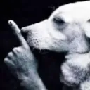 shhhh