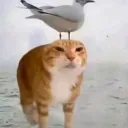 emoji_1